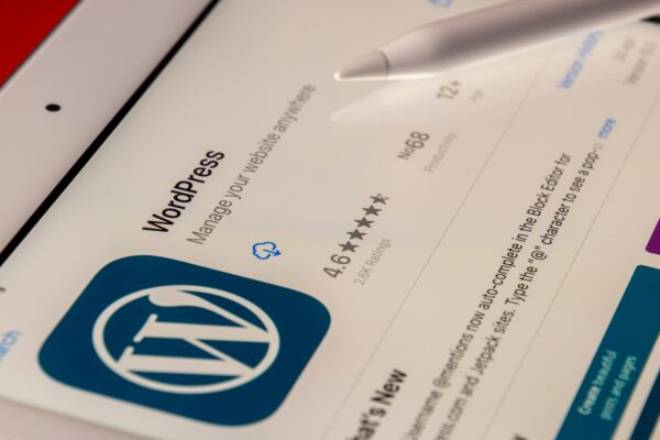 WordPress Web Development Master Level - Certification Course